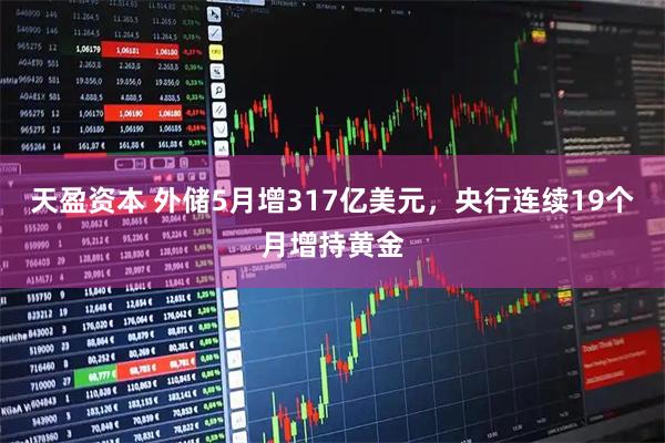 天盈资本 外储5月增317亿美元，央行连续19个月增持黄金