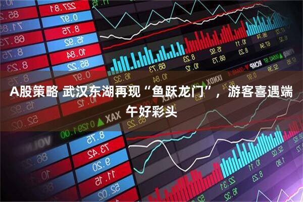 A股策略 武汉东湖再现“鱼跃龙门”，游客喜遇端午好彩头