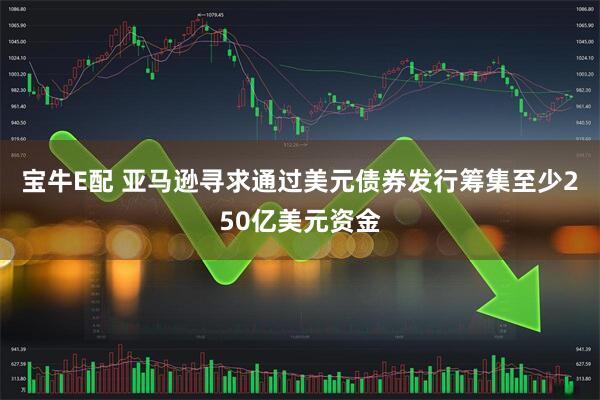 宝牛E配 亚马逊寻求通过美元债券发行筹集至少250亿美元资金